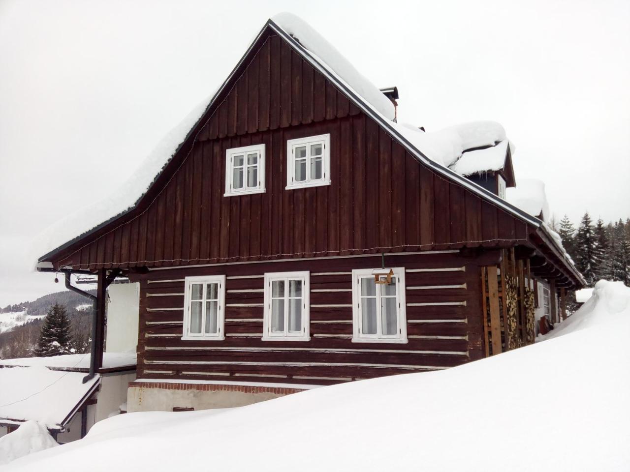 Frantiskov 17 Apartment Rokytnice nad Jizerou Exterior foto