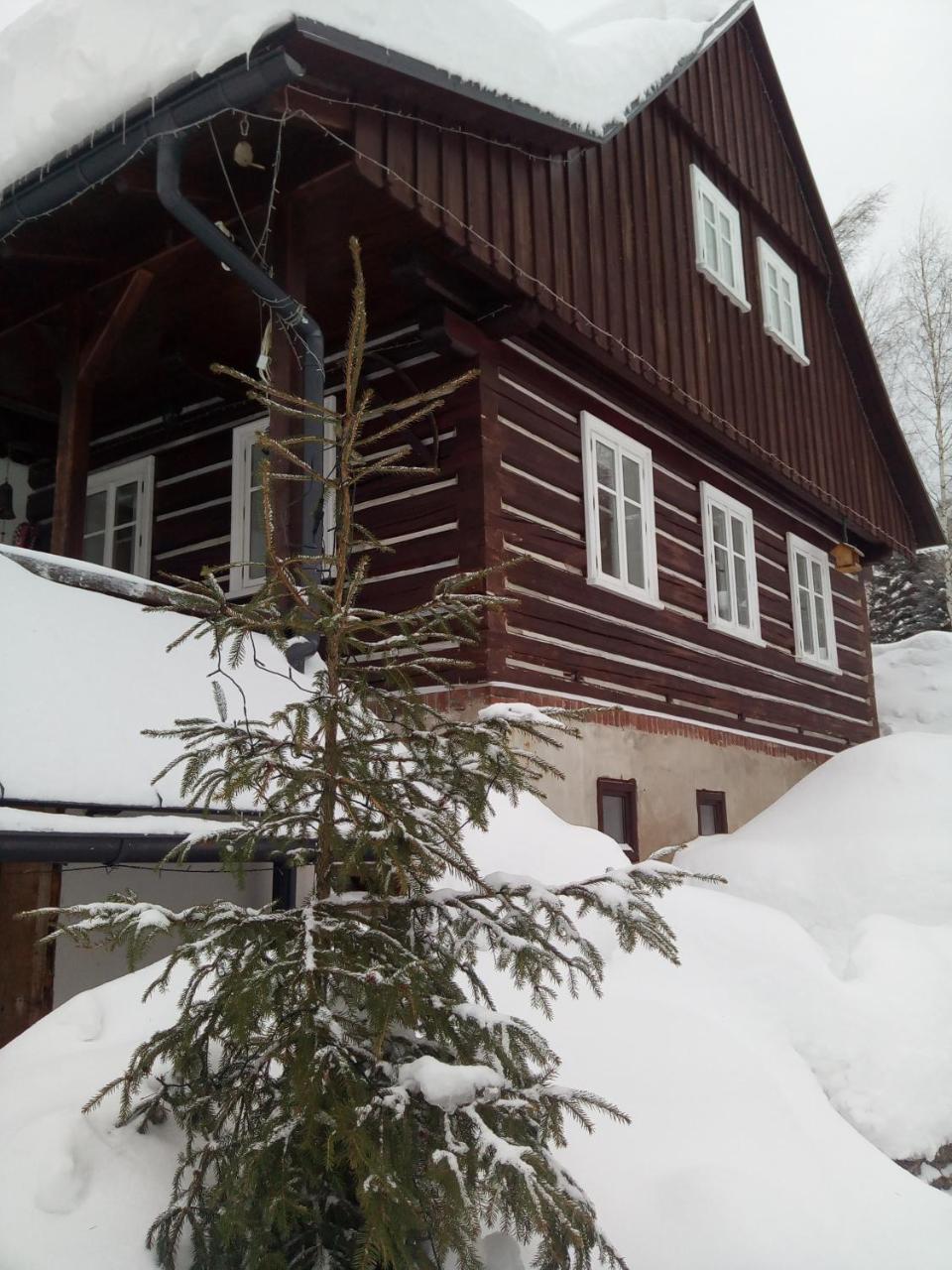 Frantiskov 17 Apartment Rokytnice nad Jizerou Exterior foto